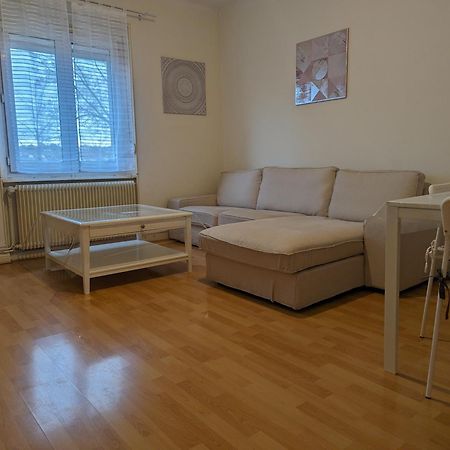 Le Balois - Appartement 2 Chambres, Salon, Cuisine Equipee, Parking Et Wifi Gratuit Мюлуз Экстерьер фото