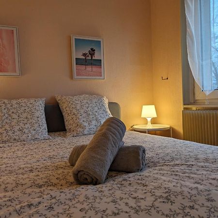 Le Balois - Appartement 2 Chambres, Salon, Cuisine Equipee, Parking Et Wifi Gratuit Мюлуз Экстерьер фото