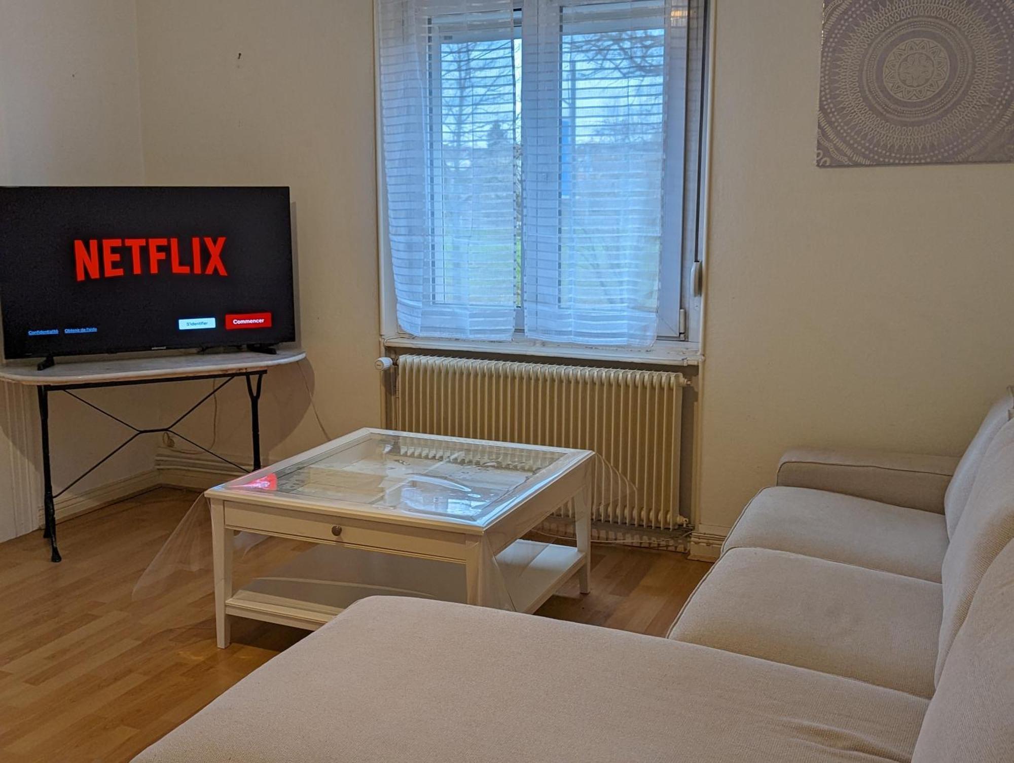 Le Balois - Appartement 2 Chambres, Salon, Cuisine Equipee, Parking Et Wifi Gratuit Мюлуз Экстерьер фото